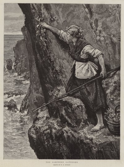 El recolector de salicornia de William Bazett Murray